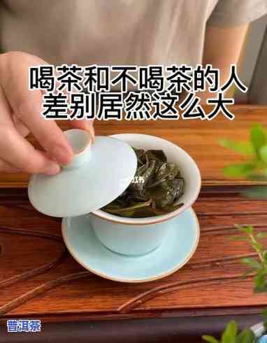 喝普洱茶和不喝茶的人调查-喝普洱茶和不喝茶的人调查对比