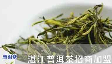 湛江普洱茶招商-湛江普洱茶招商电话