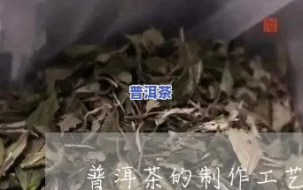 普洱茶杀青工艺全程实拍视频教程