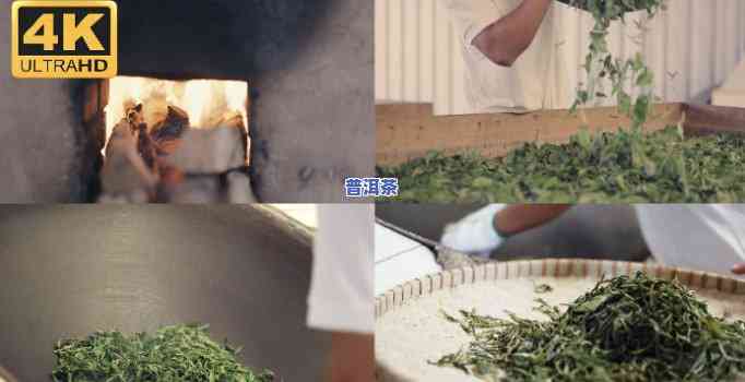 普洱茶杀青工艺全程实拍视频教程