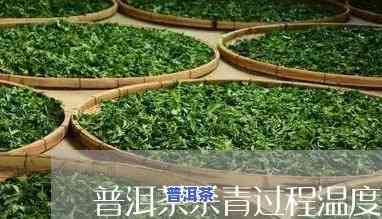 传统普洱茶杀青温度-普洱茶杀青的温度