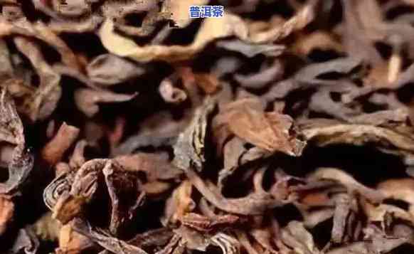 普洱茶能否制成红茶？制作方法是什么？