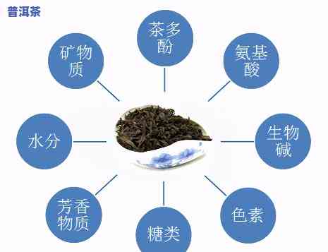 普洱茶的转化关键：依赖哪些成分？