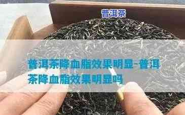 喝普洱茶降血脂吗?-喝普洱茶降血脂吗有效果吗