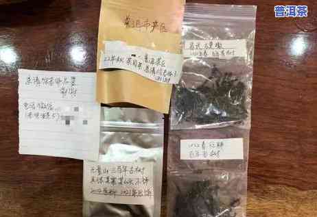 陕西普洱茶代理销售：方法、产品全解析