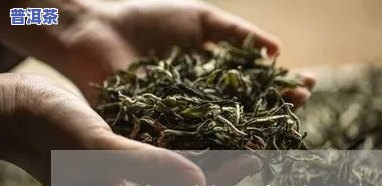 普洱茶可减少血压吗为什么-普洱茶可减少血压吗为什么呢