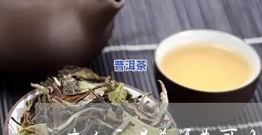 普洱茶可减少血压吗为什么-普洱茶可减少血压吗为什么呢