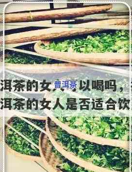 普洱茶女生适不适合女生喝，探讨女性是不是适合饮用普洱茶：一次全面的分析