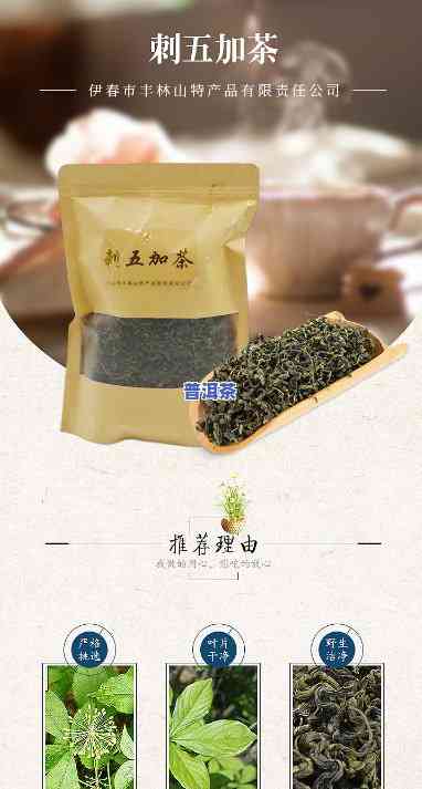 刺五加能与茶一起冲泡吗？探讨其与茶叶的搭配效果及留意事项