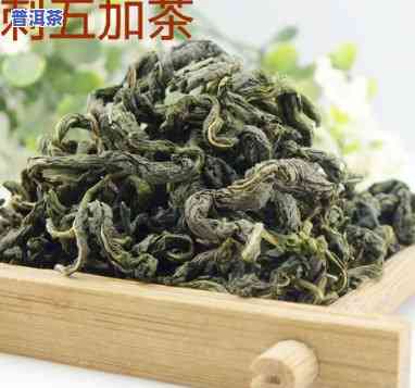 刺五加能与茶一起冲泡吗？探讨其与茶叶的搭配效果及留意事项