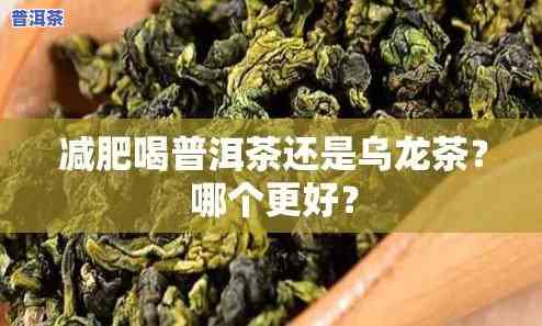 普洱茶白茶乌龙茶哪个减肥-普洱茶白茶乌龙茶哪个减肥效果更好