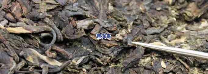 南平高端的普洱茶是哪里的-南平高端的普洱茶是哪里的茶