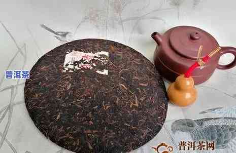 普洱人家茶饼，品味古韵：探索普洱人家茶饼的世界