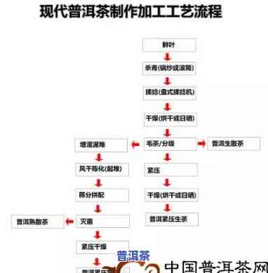 普洱茶制作工艺流程全程视频教程