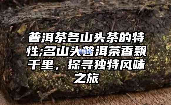 普洱茶十大山头排名榜，揭秘普洱茶的世界：十大山头的排名与特点解析