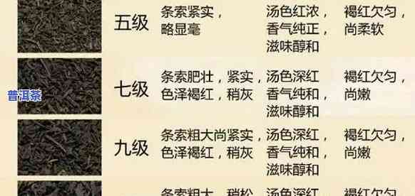 普洱茶冲泡几次更好呢视频讲解，揭秘：普洱茶冲泡的更佳次数，一文看懂！