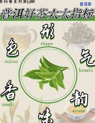 普洱茶管理指标分析-普洱茶规范管理