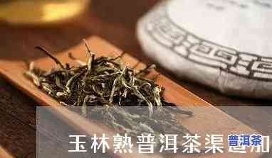 玉林普洱茶招商条件-玉林普洱茶招商条件是什么