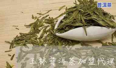 玉林普洱茶招商条件-玉林普洱茶招商条件是什么