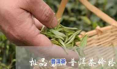 新疆富硒普洱茶：哪里买正宗好？口感怎样？