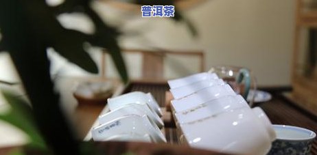 泡普洱茶水温多少度-泡普洱茶水温多少度更好