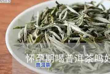 怀孕一个月和普洱茶-怀孕一个月能喝普洱茶吗