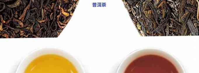 普洱茶鉴定机构：寻找专业机构及联系方法