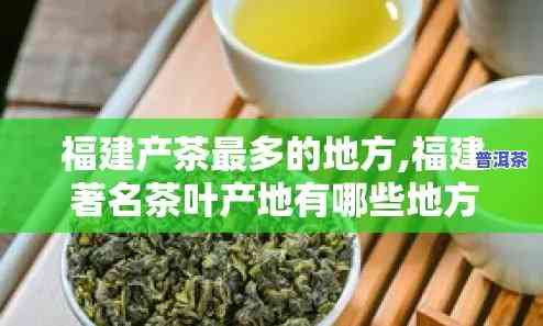 福州普洱茶叶场在哪里，寻找福州普洱茶叶的源头？揭秘福州普洱茶叶场位置！