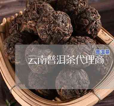 昆明普洱茶加盟代理电话：获取联系方法及地址