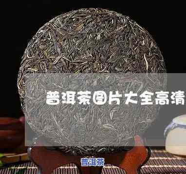 普洱茶鉴藏馆图片高清大全-普洱茶鉴藏馆图片高清大