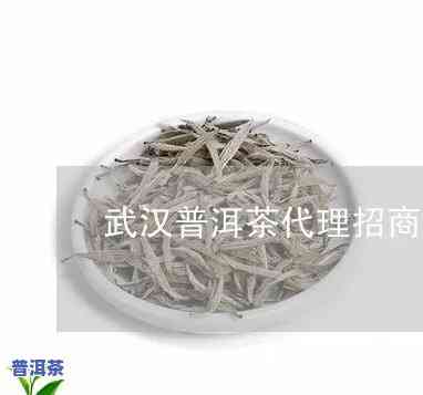 武汉普洱茶怎么代理-普洱茶直销