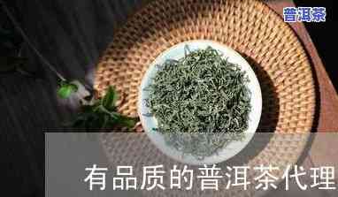 梧州普洱茶渠道代理电话，梧州普洱茶渠道代理电话是多少？