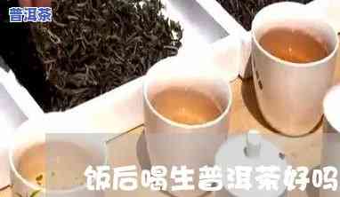 饭后能喝普洱茶吗?-饭后能喝普洱茶吗