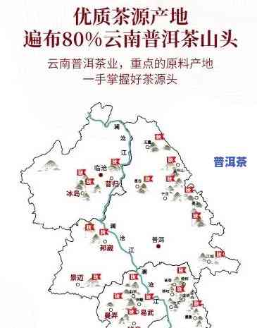 杭州普洱茶交易：地址、官网一览