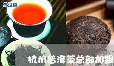 杭州知名普洱茶招商-杭州知名普洱茶招商电话