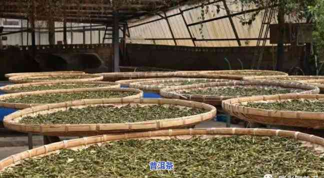 崇左普洱茶代理加工全攻略：步骤、产品介绍与市场分析