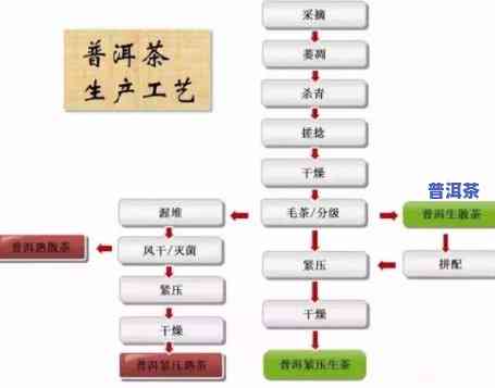 崇左普洱茶代理加工全攻略：步骤、产品介绍与市场分析