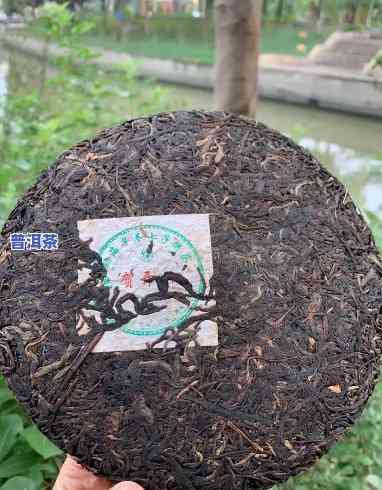 荣升号普洱茶06年好不好-荣升号普洱茶2008年厂