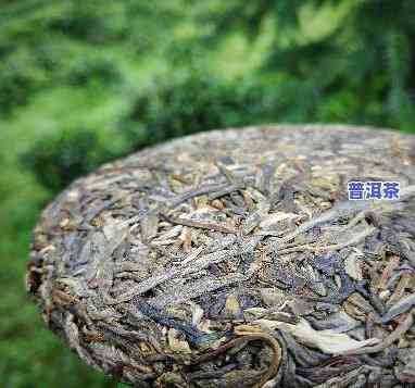 黄草林大树普洱茶图片高清-黄草林大树普洱茶图片高清大全