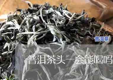 普洱茶不能喝茶头吗为什么-普洱茶不能喝茶头吗为什么呢