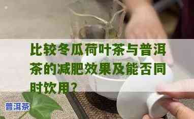 普洱茶能跟冬瓜茶一起泡吗？功效与百科全解