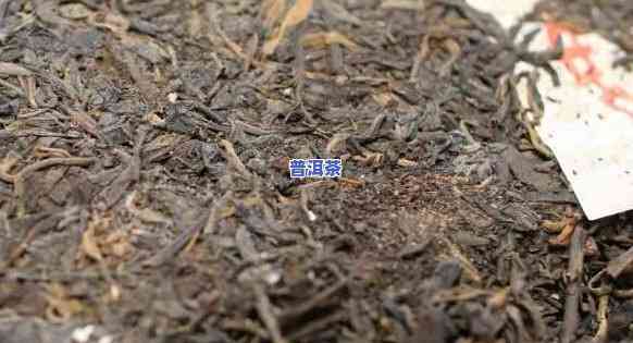 怎样辨别人为仿普洱茶的人是谁，揭秘！怎样识别人工仿制的普洱茶？