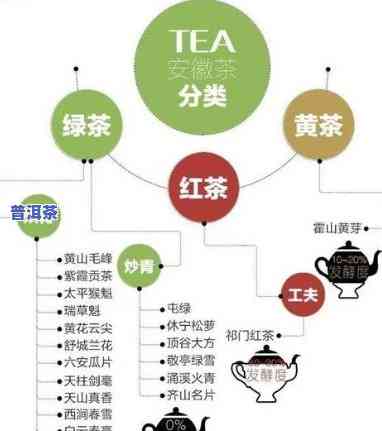 普洱茶的分销渠道：选择与分析