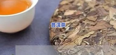 大益勐海之星普洱茶的特点-大益勐海之星熟茶怎么样