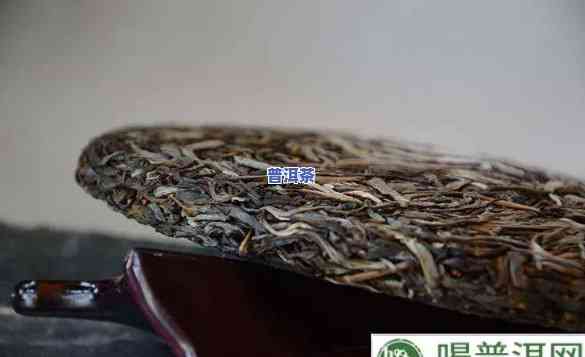 挑选普洱茶最关键的是什么-挑选普洱茶最关键的是什么茶