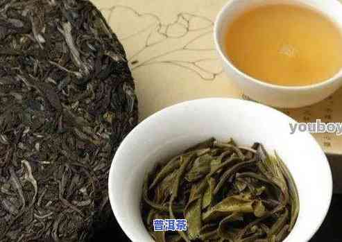 挑选普洱茶最关键的是什么-挑选普洱茶最关键的是什么茶