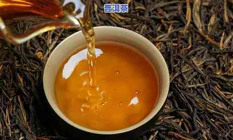 挑选普洱茶最关键的因素是-挑选普洱茶最关键的因素是什么