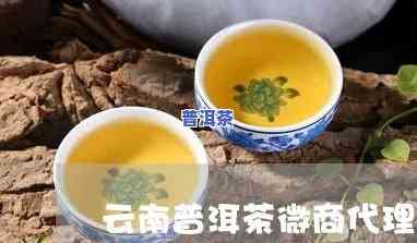 普洱茶代理：几折优惠，电话咨询