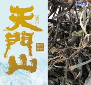 易武天门山普洱茶生茶散茶-易武天门山普洱茶价格