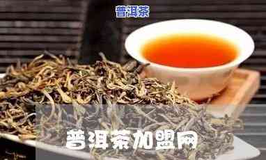 太原普洱茶代理招商-太原普洱茶专卖